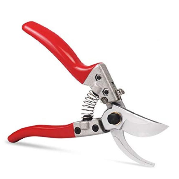 pruning scissors 